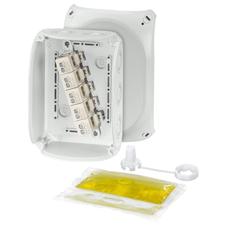WP1010G